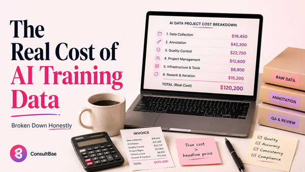 The real cost of AI training data, broken down honestly.